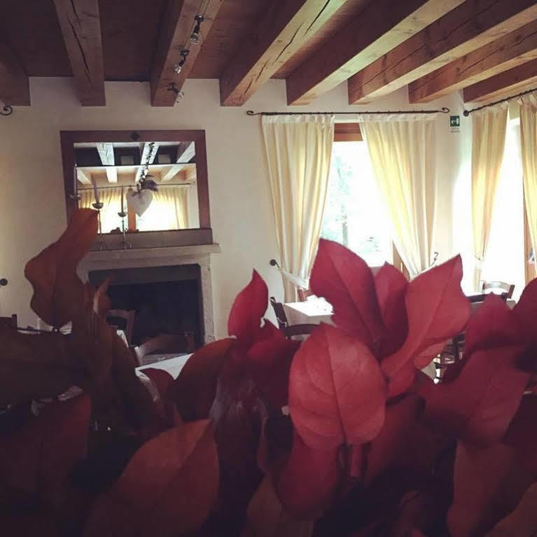 Hotel Villa Dei Carpini Oderzo Zewnętrze zdjęcie
